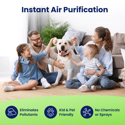 Ionic Air Purifier